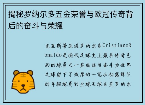 揭秘罗纳尔多五金荣誉与欧冠传奇背后的奋斗与荣耀