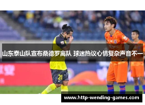 山东泰山队宣布桑德罗离队 球迷热议心情复杂声音不一
