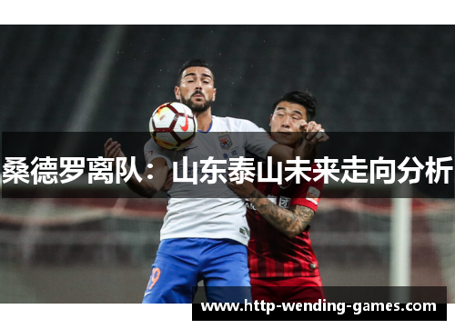 桑德罗离队：山东泰山未来走向分析