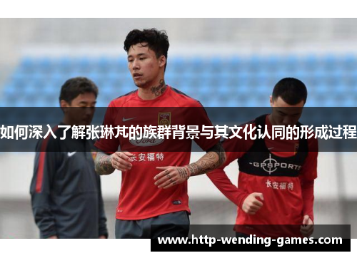 如何深入了解张琳芃的族群背景与其文化认同的形成过程