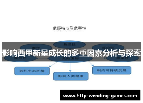 影响西甲新星成长的多重因素分析与探索