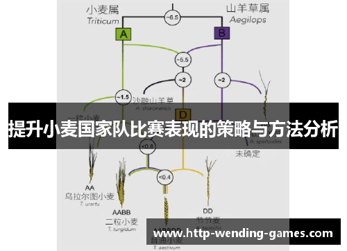 提升小麦国家队比赛表现的策略与方法分析