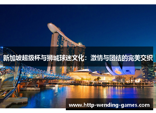 新加坡超级杯与狮城球迷文化：激情与团结的完美交织