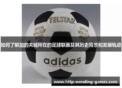 如何了解加的夫城所在的足球联赛及其历史背景和发展轨迹