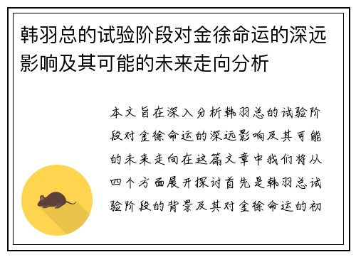 韩羽总的试验阶段对金徐命运的深远影响及其可能的未来走向分析